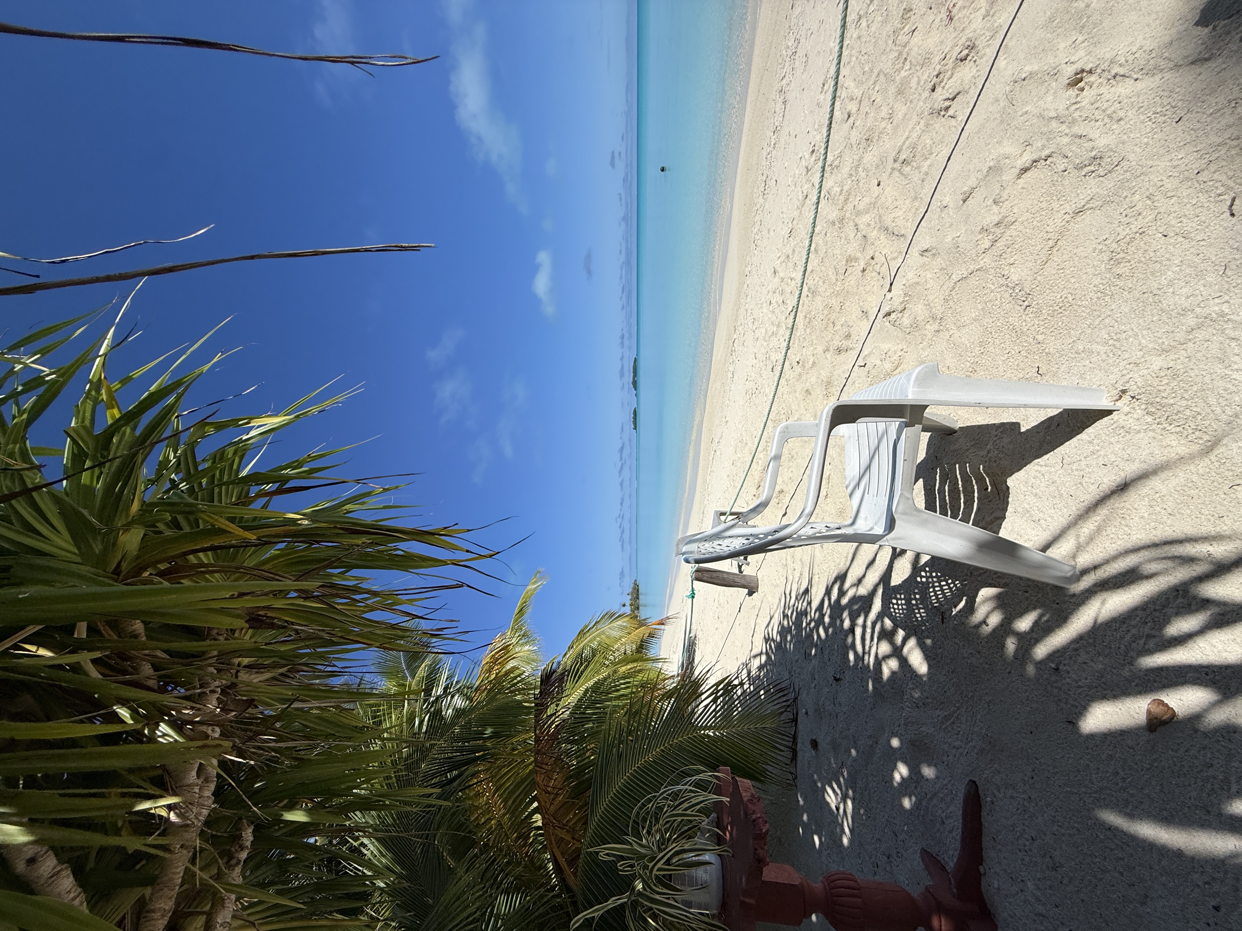 Turquoise lagoon and white-sand beach beneath tropical palms in Rarotonga