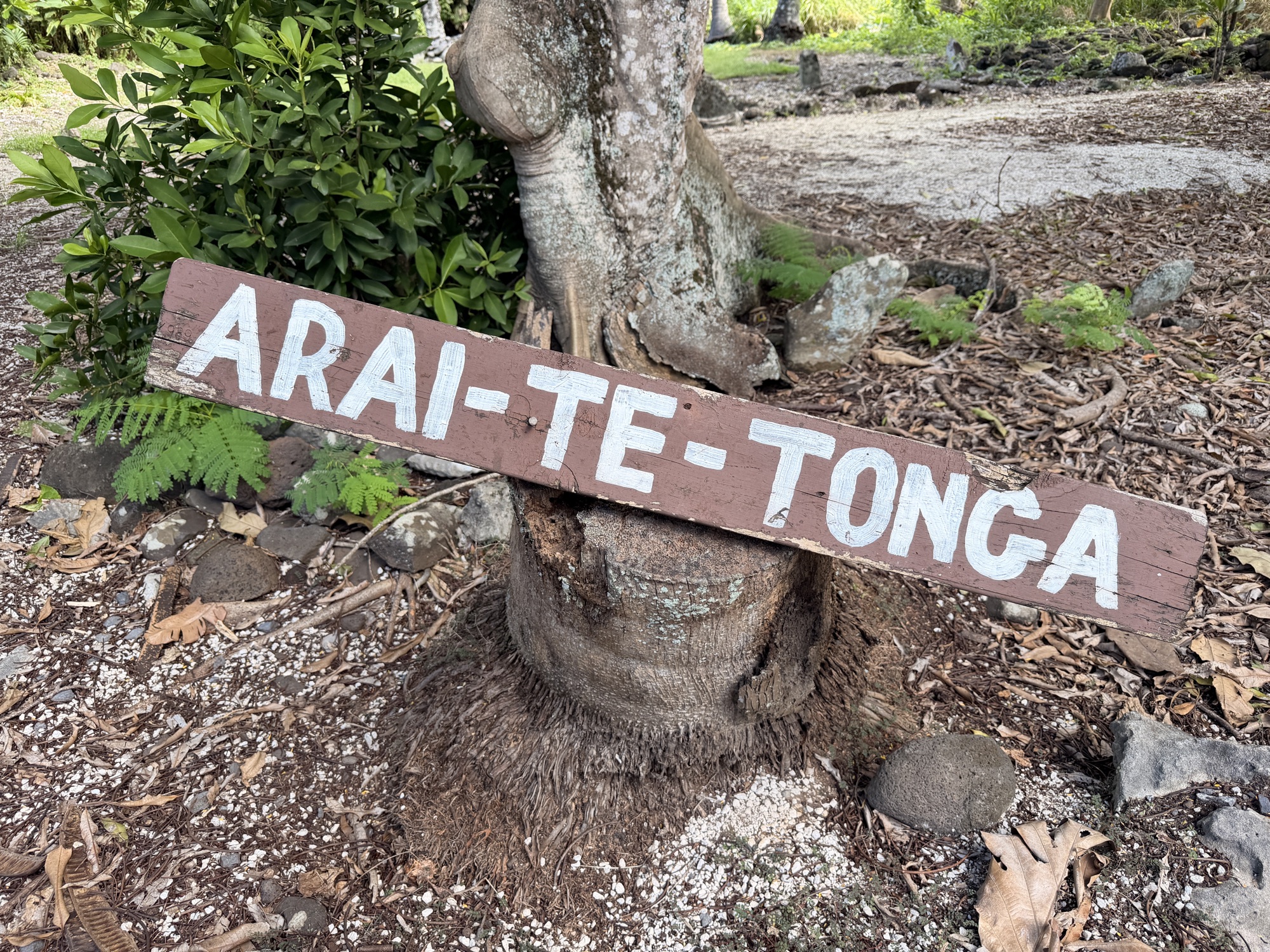 Te Waka Tour on Rarotonga
