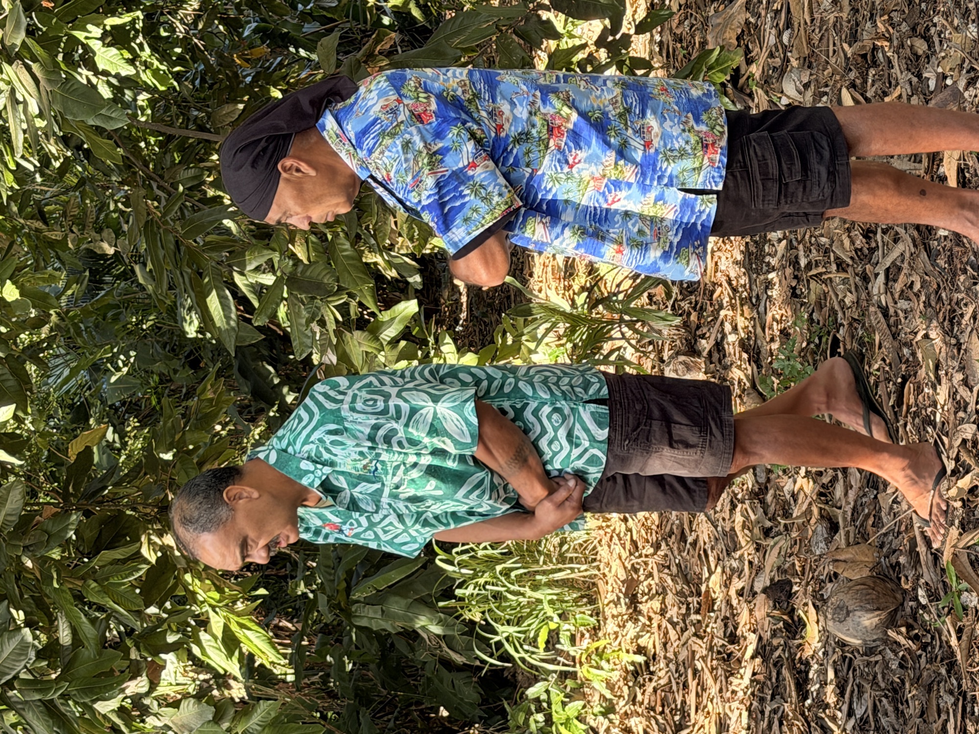 Te Waka Tour on Rarotonga